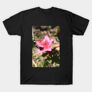 Flower T-Shirt